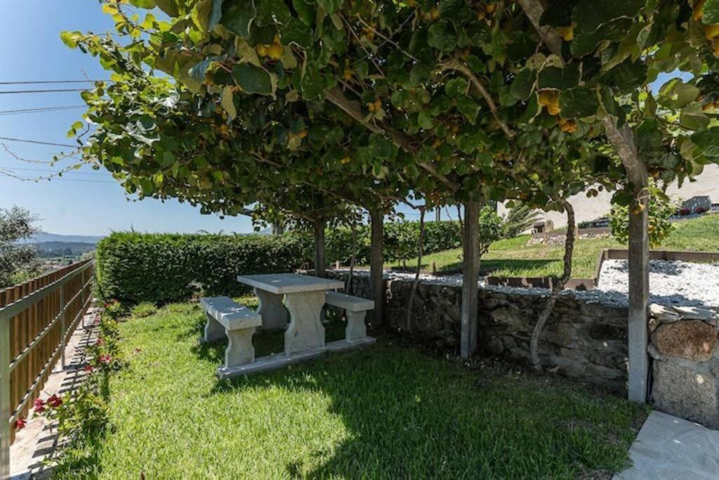 Fernandes Guest House Bright Private Suite Ponte de Lima Exteriér fotografie
